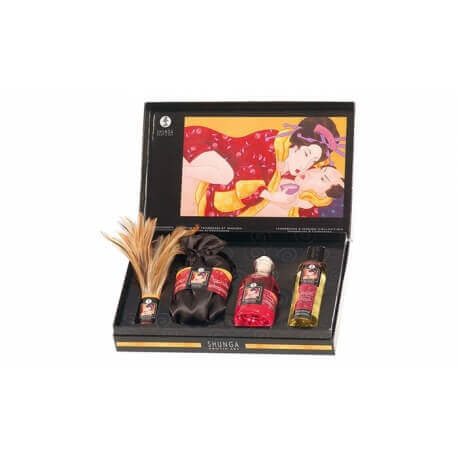 Shunga Gift Set Tenderness/Passion