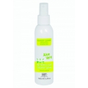 Spray per la Pulizia dei Sex Toys Intimate Care Cleaner Spray