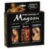 SET OLI PER MASSAGGI MAGOON - 3 PEZZI ASSORTITI DA 100 ML